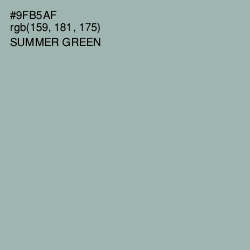 #9FB5AF - Summer Green Color Image